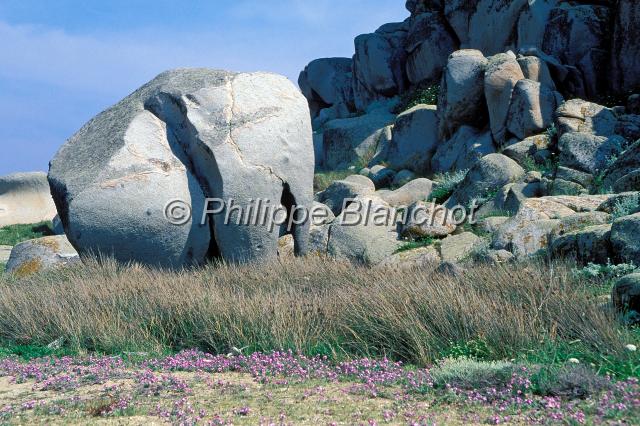 france corse 10.JPG - Rocher représentant un éléphantArchipel des LavezziCorse